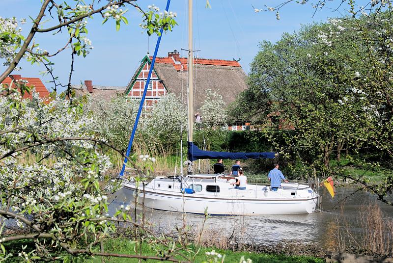 2590_1795 Ein Segelboot auf der Lühe, Obstbäume am Flussufer. | Fruehlingsfotos aus der Hansestadt Hamburg; Vol. 2
